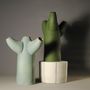 Decorative objects - Cactus vases - ATELIER TERRES D'ANGELY