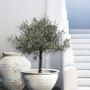 Pottery - Garden & Courtyard Staging - ATELIERS C&S DAVOY