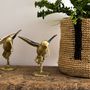 Objets de décoration - Boîte en nacre Colibri - WILD BY MOSAIC
