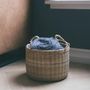 Decorative objects - Basket - ANIMATA basket - available in three sizes - SWEET SALONE