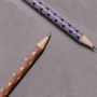 Stationery - Set of 24 magnetic pencils - graphic - TOUT SIMPLEMENT,