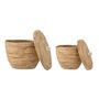 Shopping baskets - Noi Basket w/Lid, Nature, Water Hyacinth Set of 2 - BLOOMINGVILLE MULTIBRAND HOUSE