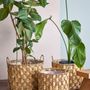 Paniers - Joleen Panier, Nature, Jacinthe d'eau Set of 3 - CREATIVE COLLECTION