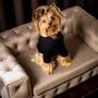 Pet accessories - ROYAL - Superior Quality Dog Armchair - PET EMPIRE