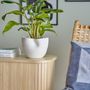 Flower pots - Sanam Flowerpot, White, Stoneware - BLOOMINGVILLE MULTIBRAND HOUSE