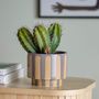 Flower pots - Awoh Flowerpot, Grey, Stoneware - BLOOMINGVILLE MULTIBRAND HOUSE