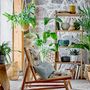Cushions - Acerra Cushion, Green, Cotton  - CREATIVE COLLECTION