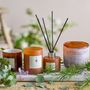 Bougies - NO. 6 - Sequoia Bougie parfumée, Marron, Cire naturelle  - ILLUME X BLOOMINGVILLE