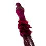 Decorative objects - Payton Deco Bird, Red, Feather Pack of 2 - BLOOMINGVILLE MULTIBRAND HOUSE