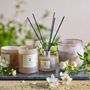 Candles - NO.2-Green Gardenia Scent Candle, Rose, Wax  - ILLUME X BLOOMINGVILLE