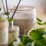 Candles - NO.2-Green Gardenia Scent Candle, Rose, Wax  - ILLUME X BLOOMINGVILLE