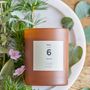 Candles - NO.6-Sequoia Scent Candle, Brown, Wax - ILLUME X BLOOMINGVILLE