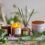 Candles - NO.6-Sequoia Scent Candle, Brown, Wax - ILLUME X BLOOMINGVILLE