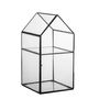 Storage boxes - Tiff Display box, Clear, Glass  - BLOOMINGVILLE MULTIBRAND HOUSE