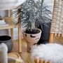 Vases - Nans Deco Vase, Nature, Terracotta  - BLOOMINGVILLE MULTIBRAND HOUSE