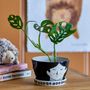 Pots de fleurs - Carolin Pot de fleurs pour support, Noir, Grès - BLOOMINGVILLE MINI