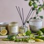 Candles - NO.1-Parsley Lime Scent Candle, Green, Wax  - ILLUME X BLOOMINGVILLE