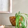 Flower pots - Rokaya Flowerpot, Brown, Stoneware  - CREATIVE COLLECTION