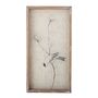 Other wall decoration - Aurel Illustration w/ Frame, Nature, Firwood - CREATIVE COLLECTION