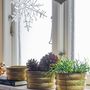 Pots de fleurs - Lucilla Pot de fleurs, Or, Métal Set of 3 - BLOOMINGVILLE MULTIBRAND HOUSE