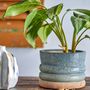 Pots de fleurs - Maizun Pot de fleurs, Blue, Terre cuite - CREATIVE COLLECTION