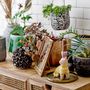 Flower pots - Muan Deco Flowerpot, Black, Terracotta  - BLOOMINGVILLE MULTIBRAND HOUSE