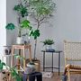Flower pots - Ilda Flowerpot, Hanging, Green, Stoneware  - BLOOMINGVILLE