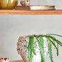 Flower pots - Coral Flowerpot, Nature, Stoneware  - CREATIVE COLLECTION