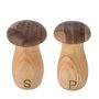 Kitchen utensils - Rahim Salt & Pepper Shaker Set, Brown, Rubberwood - BLOOMINGVILLE MULTIBRAND HOUSE