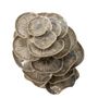 Decorative objects - Darri Deco, Grey, Stoneware - BLOOMINGVILLE MULTIBRAND HOUSE