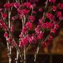 Décorations florales - Superbes branches de Callicarpa réalistes. - SILK-KA BV