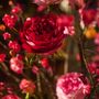 Floral decoration - Eyecatching artificial Roses - SILK-KA BV