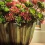 Floral decoration - Lifelike artificial succulents. - SILK-KA