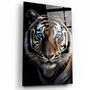 Autres décorations murales - Yeux bleus - TigerDesigners Collection Art mural en verre 110CMx70CM - ARTDESIGNA