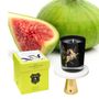 Decorative objects - Scented Candle: Lusitanian Fig Tree 180g. Luxury box. - YLUSTRE