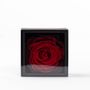Floral decoration - A secret - My love - 1 preserved red rose XXL - Size M - BENOIT SAINT AMAND