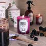 Gifts - Candle Black Berries - PERROY PARFUM & LES EAUX PRIMORDIALES