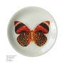 Platter and bowls - Set of 6 dessert plates with different prints. - STUDIO CRIS AZEVEDO