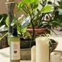 Garden accessories - House Plant Aqua Leaf Cleanser - SOWVITAL