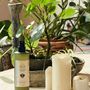 Home fragrances - Aqua Leaf Houseplant Cleaner - SOWVITAL