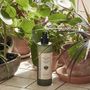 Home fragrances - Indoor plant spray - SOWVITAL