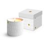 Decorative objects - Fine Bone China Candle - PPD PAPERPRODUCTS DESIGN GMBH