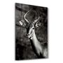 Other wall decoration - Antilope Black and White | Glass Wall Art - ARTDESIGNA