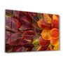 Autres décorations murales - Leaves 2 | Glass Wall Art - ARTDESIGNA