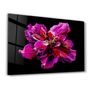 Other wall decoration - Purple Flower 3 | Glass Wall Art - ARTDESIGNA