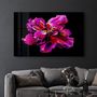 Other wall decoration - Purple Flower 3 | Glass Wall Art - ARTDESIGNA