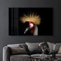 Other wall decoration - Crowned Crane | Glass Wall Art - ARTDESIGNA