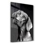 Other wall decoration - Innocent Dog | Glass Wall Art - ARTDESIGNA