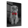 Autres décorations murales - Cat with Bow Tie | Glass Wall Art - ARTDESIGNA