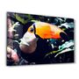 Other wall decoration - Pelican in Nature | Glass Wall Art - ARTDESIGNA